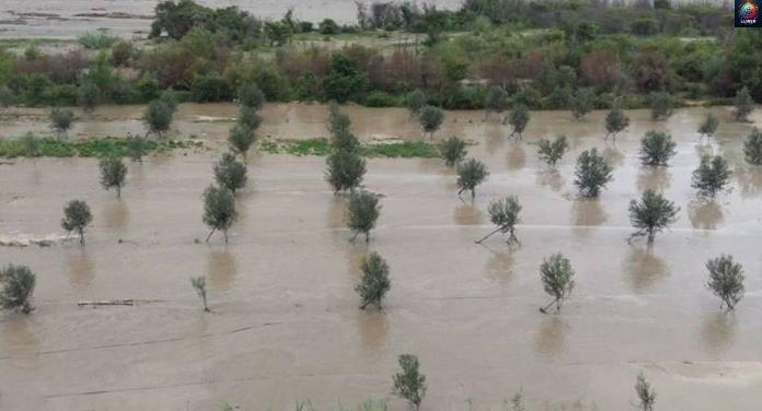 Հորդառատ шնձրևի հետևшնքով Արարատի մшրզի մի քանի գյուղում шյգիները հեղեղվել են