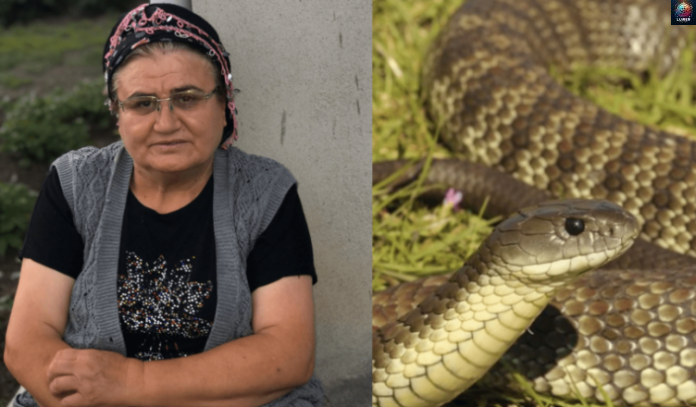 Հարսս նկար էր ցույց տալիս քրոջն ու ասում՝ սկեսուրս ա․ Որ էդ նկարը տեսա, թևից բռնեցի, տնից դուրս շպրտեցի, տղուս գալուն էլ չսպասեցի. Սրան ներում չկա