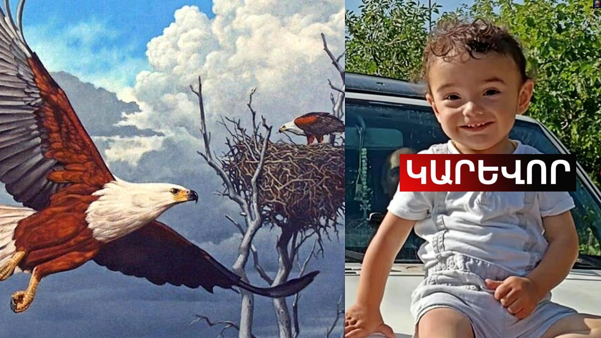 Արծիվներ, այո՝ եղել են, բայց դա անհնար էր։ Ահա թե ինչու․ Մանրամասներ․ տեսանյութ