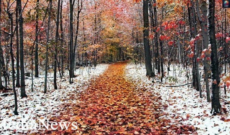 Եղանակը առաջիկա օրերին