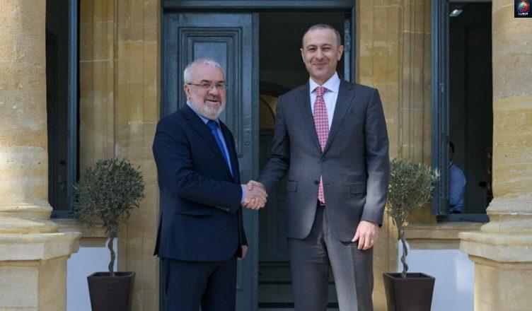 Գրիգորյանն ու Ցիոնիսն անդրադարձել են Հարավային Կովկասում հաստատված խաղաղությանը և իրականացվող քայլերին