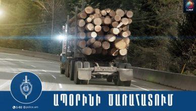 Կապանում ծառահատման դեպք է բացահայտվել Կապանում ծառահատման դեպք է բացահայտվել