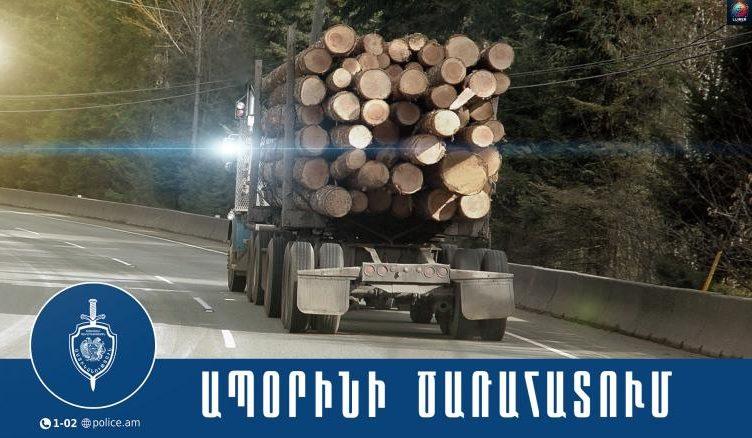 Կապանում ծառահատման դեպք է բացահայտվել