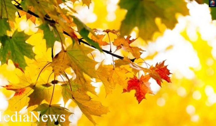 Ի՞նչ եղանակ սպասել նոյեմբերի 23-ին