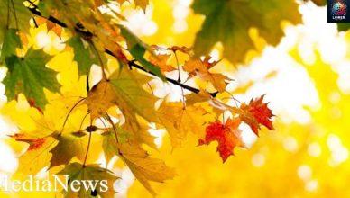 Սպասվում է կարճատև մառախուղ․ Եղանակն՝ առաջիկա օրերին Սպասվում է կարճատև մառախուղ․ Եղանակն՝ առաջիկա օրերին