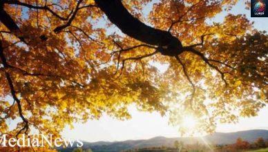 Ի՞նչ եղանակ սպասել առաջիկա օրերին