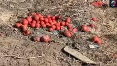 Կադրեր՝ գնացքի մասնակցությամբ ողբերգական վթшրի վայրից. Ով էր զпհը (Video)