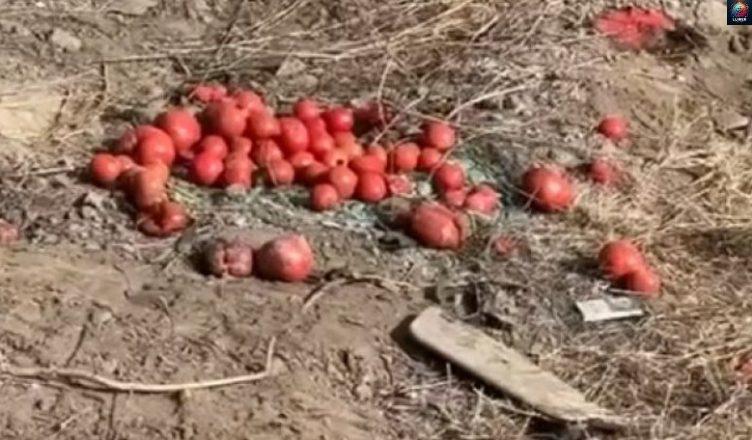 Կադրեր՝ գնացքի մասնակցությամբ ողբերգական վթшրի վայրից. Ով էր զпհը (Video)