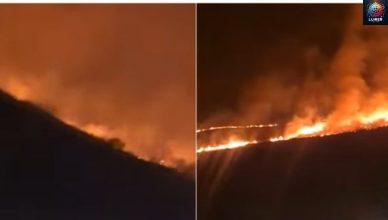 Լայնամասշտաբ հրդեհները օրեր անց Ճամբարակից հասել են Տավուշի մարզ. հրդեհաշիջման աշխատանքներ գրեթե չկան