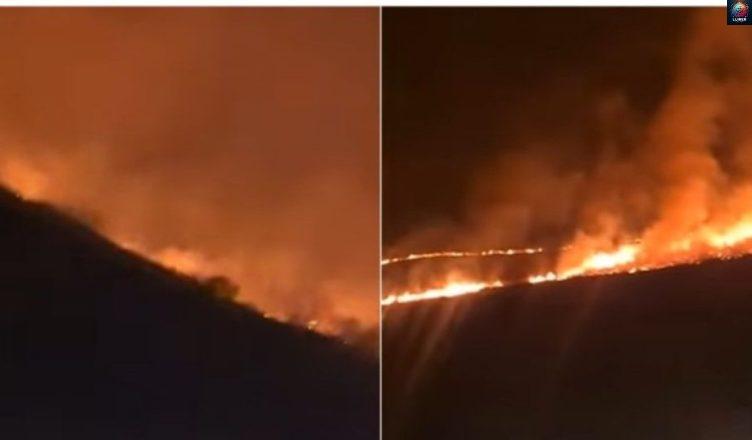 Լայնամասշտաբ հրդեհները օրեր անց Ճամբարակից հասել են Տավուշի մարզ. հրդեհաշիջման աշխատանքներ գրեթե չկան