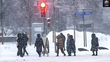 Վերջին մեկուկես դարի ամենացուրտ ամիսներից մեկը կլինի դեկտեմբերը․ զգուշացում ՏԵՍԱՆՅՈՒԹ Վերջին մեկուկես դարի ամենացուրտ ամիսներից մեկը կլինի դեկտեմբերը․ զգուշացում ՏԵՍԱՆՅՈՒԹ