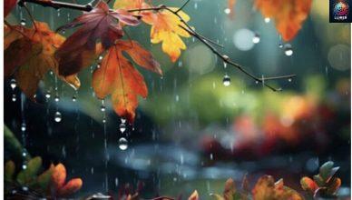 Կանձրևի՞․ ի՞նչ եղանակ սպասել նոյեմբերի 22-ից 26-ին Կանձրևի՞․ ի՞նչ եղանակ սպասել նոյեմբերի 22-ից 26-ին