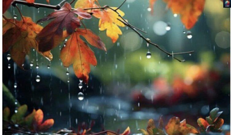 Կանձրևի՞․ ի՞նչ եղանակ սպասել նոյեմբերի 22-ից 26-ին