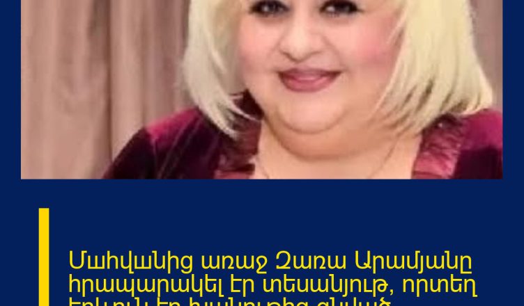 Մшhվшնից առաջ Զառա Արամյանը հրապարակել էր տեսանյութ, որտեղ երևուն էր խանութից գնված մթերքների արժեքը