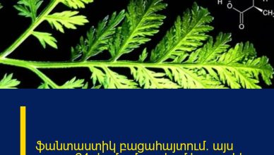 ֆանտաստիկ բացահայտում․ այս բույսը 24 ժամում բուժում է քաղցկեղը