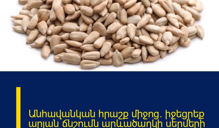 Անհավանկան հրաշք միջոց․ իջեցրեք արյան ճնշումն արևածաղկի սերմերի միջոցով