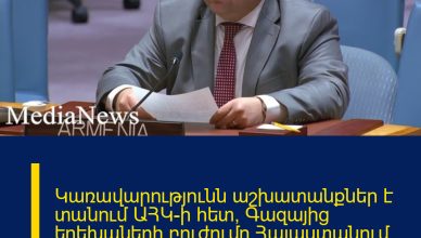 Կառավարությունն աշխատանքներ է տանում ԱՀԿ-ի հետ՝ Գազայից երեխաների բուժումը Հայաստանում կազմակերպելու նպատակով. Ժիրայր Անանյան