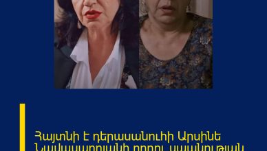 Հայտնի է դերասանուհի Արսինե Նավասարդյանի որդու սպանության պատճառը.