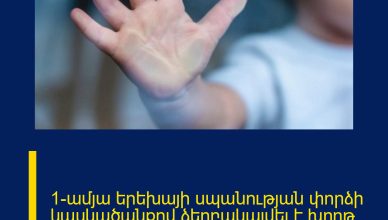 1-ամյա երեխայի սպանության փորձի կասկածանքով ձերբակալվել է խորթ մայրը