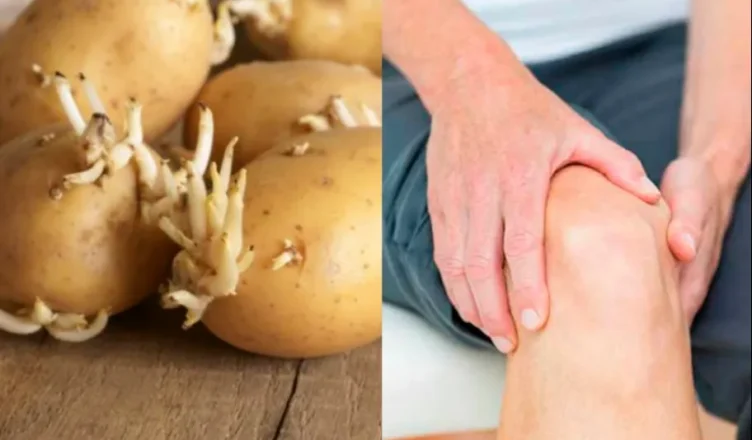 Մայրս տարիներ շարունակ տառապում էր հոդացավերից․ Նա բուժվեց կիրառելով այս պարզ ու հասարակ միջոցը, որը առկա է բոլորի տանը․․․