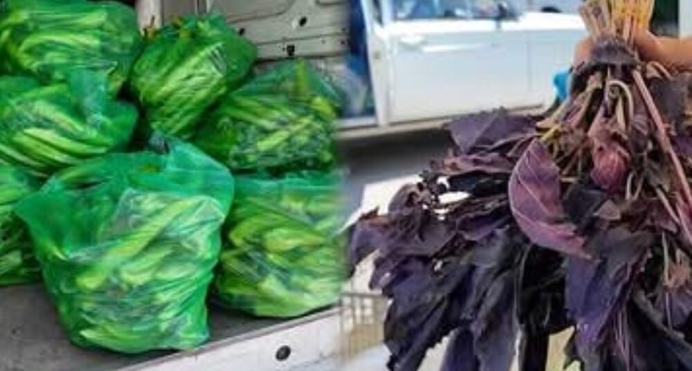 Ռեհանը պիտի թափենք, պղպեղը` էժան վաճառենք